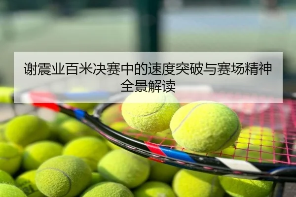 谢震业百米决赛中的速度突破与赛场精神全景解读