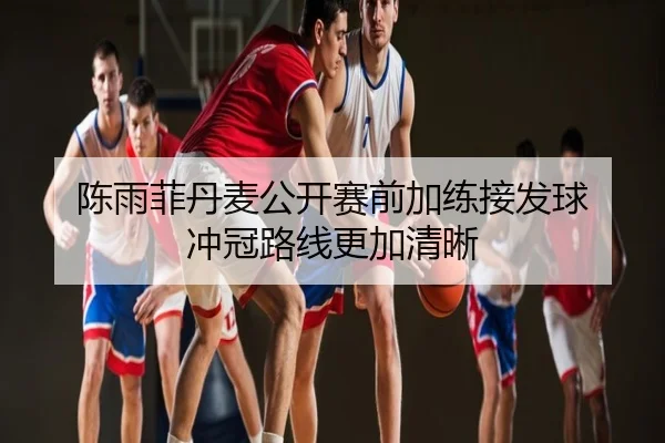 陈雨菲丹麦公开赛前加练接发球 冲冠路线更加清晰